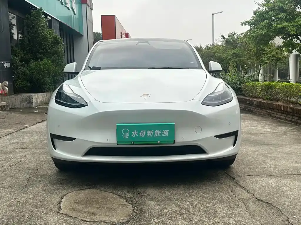 Tesla Model Y — фото 8