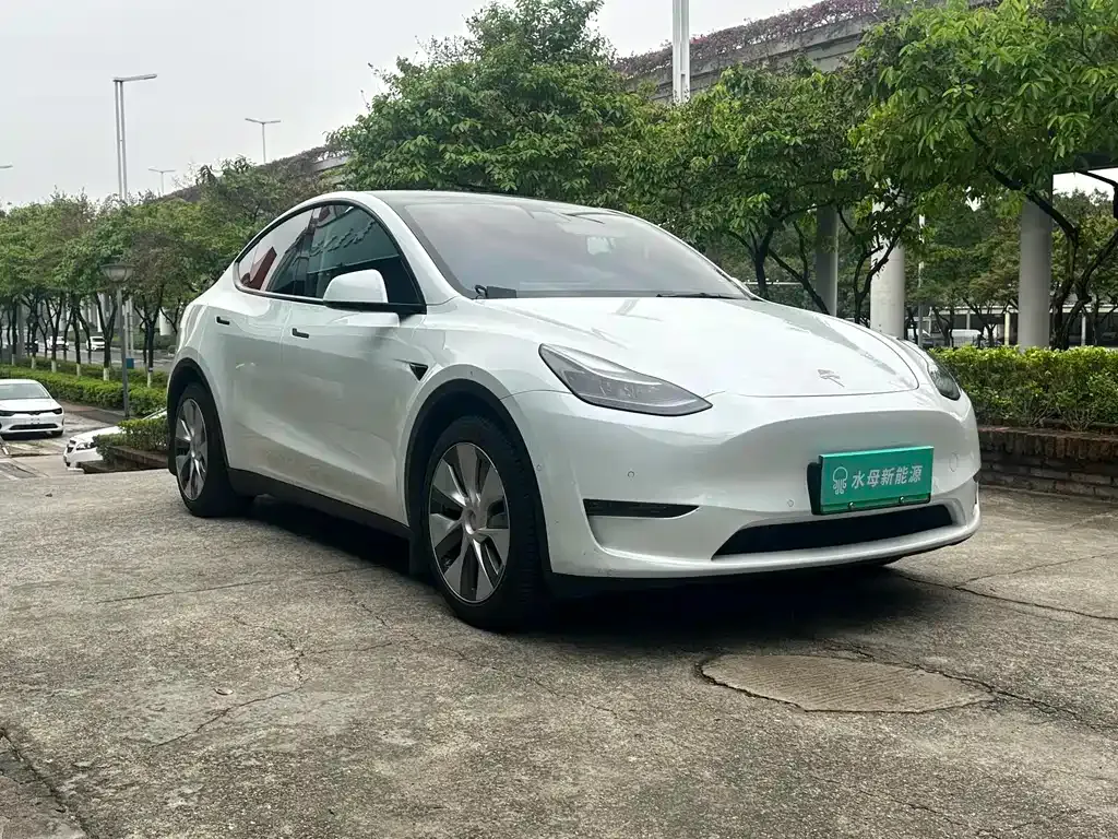 Tesla Model Y — фото 6