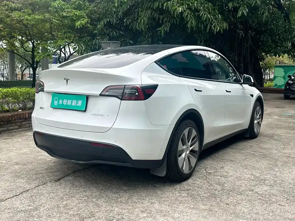 Tesla Model Y — фото 9