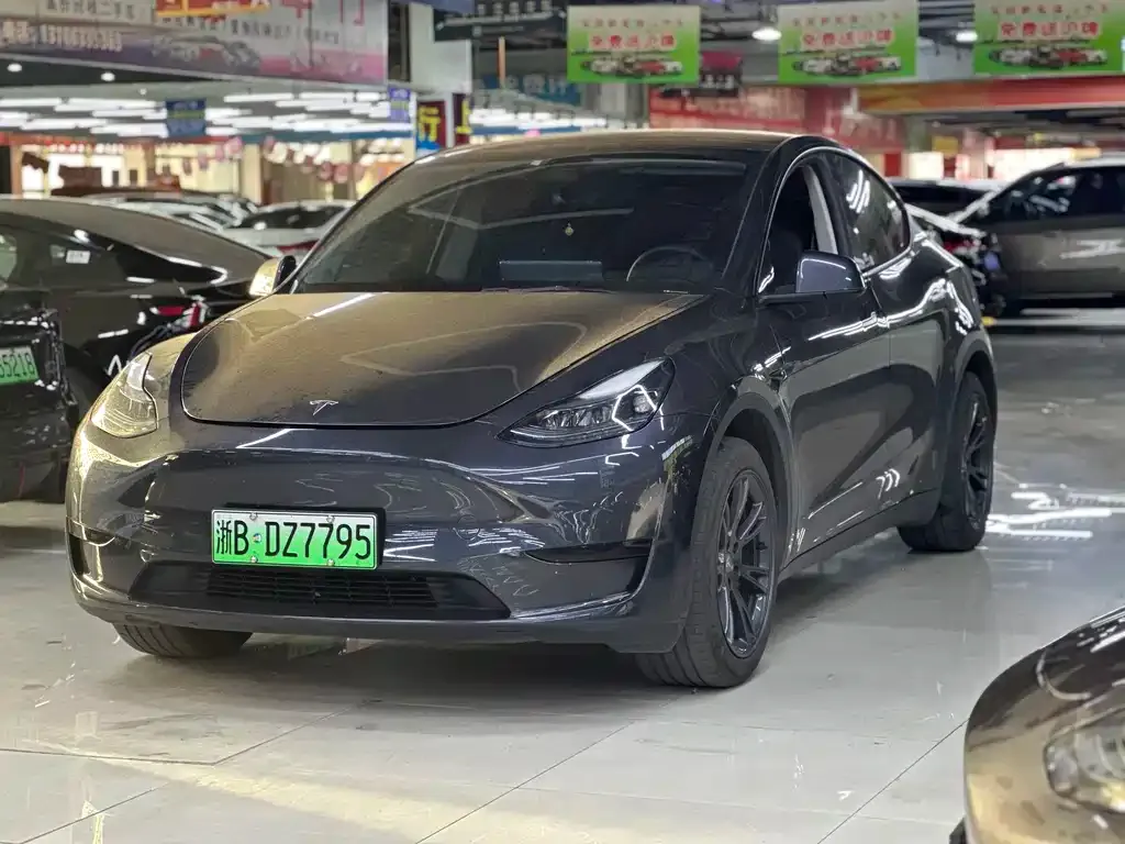 Tesla Model Y — фото 1
