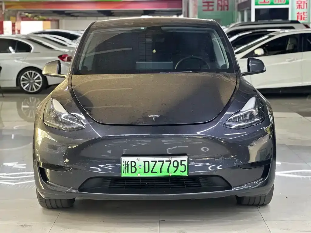 Tesla Model Y — фото 2