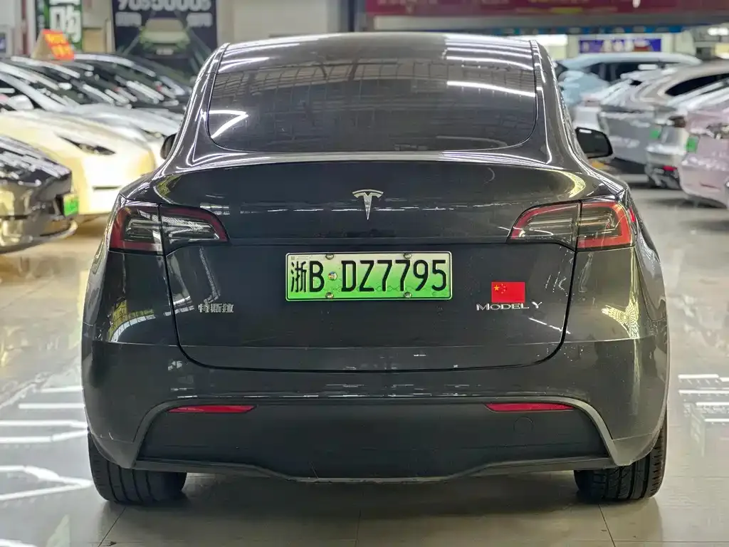 Tesla Model Y — фото 6