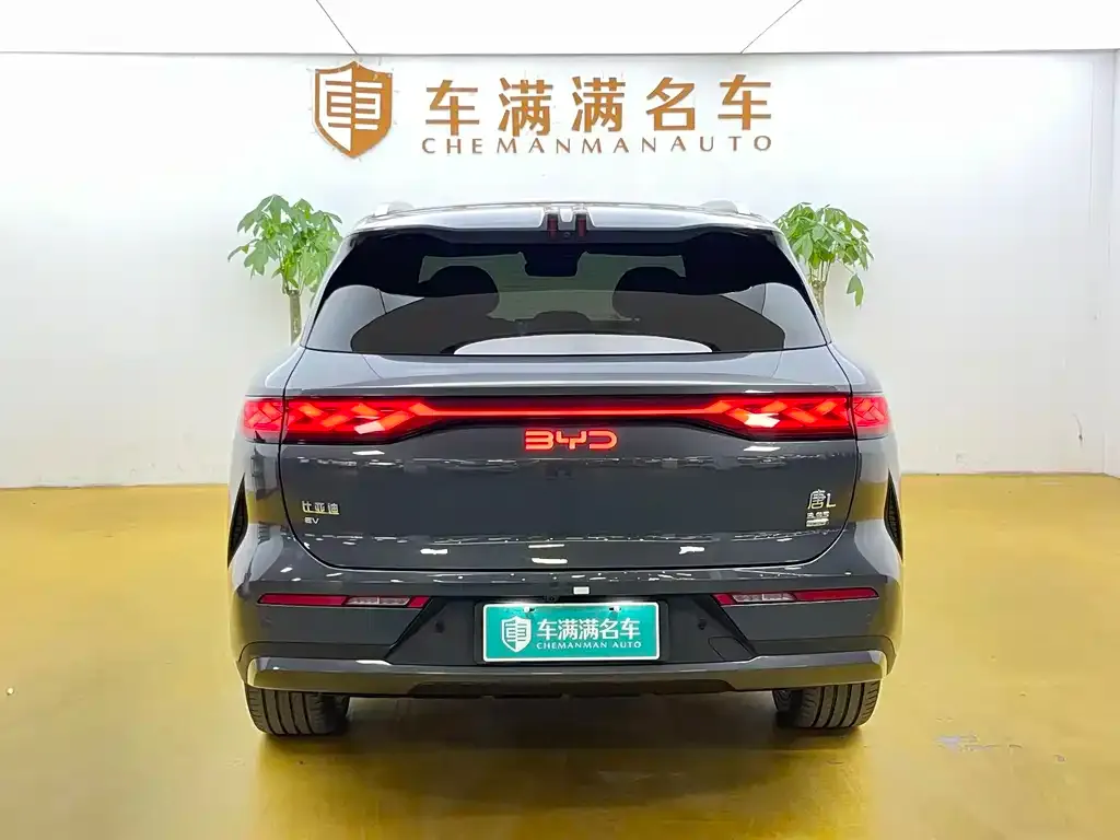 BYD Tang L — фото 2