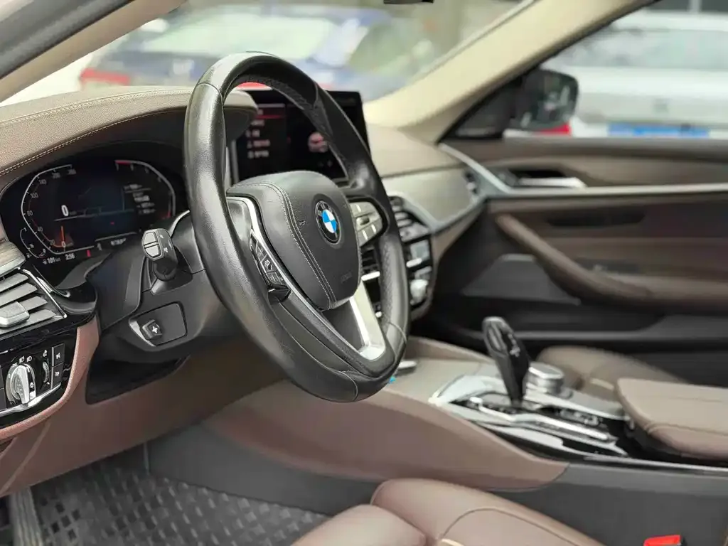 BMW 5 Series 2021 из CN, фото 8