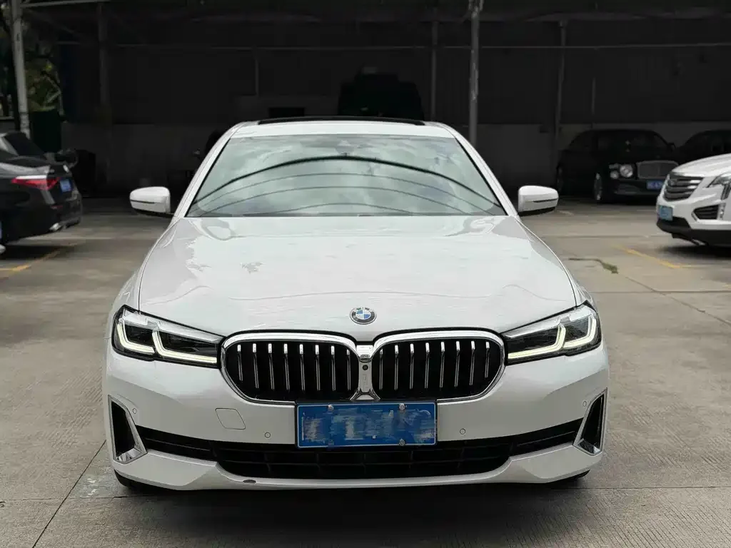 BMW 5 Series 2021 из CN, фото 10