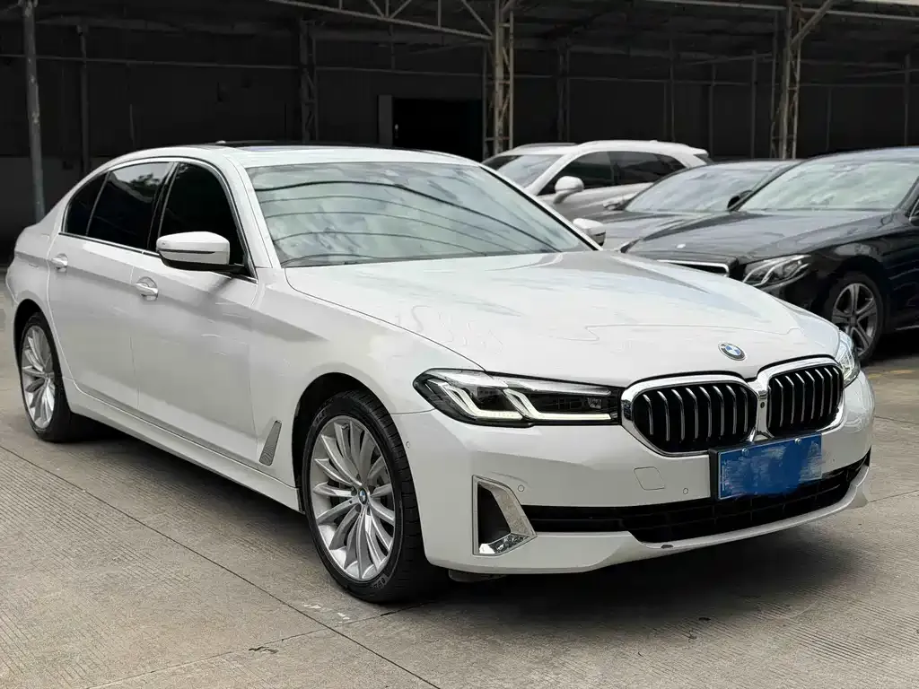 BMW 5 Series 2021 из CN, фото 3