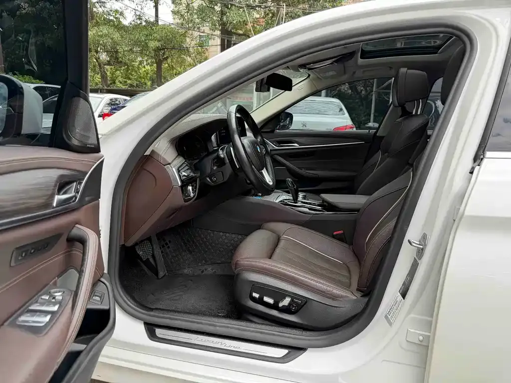 BMW 5 Series 2021 из CN, фото 6