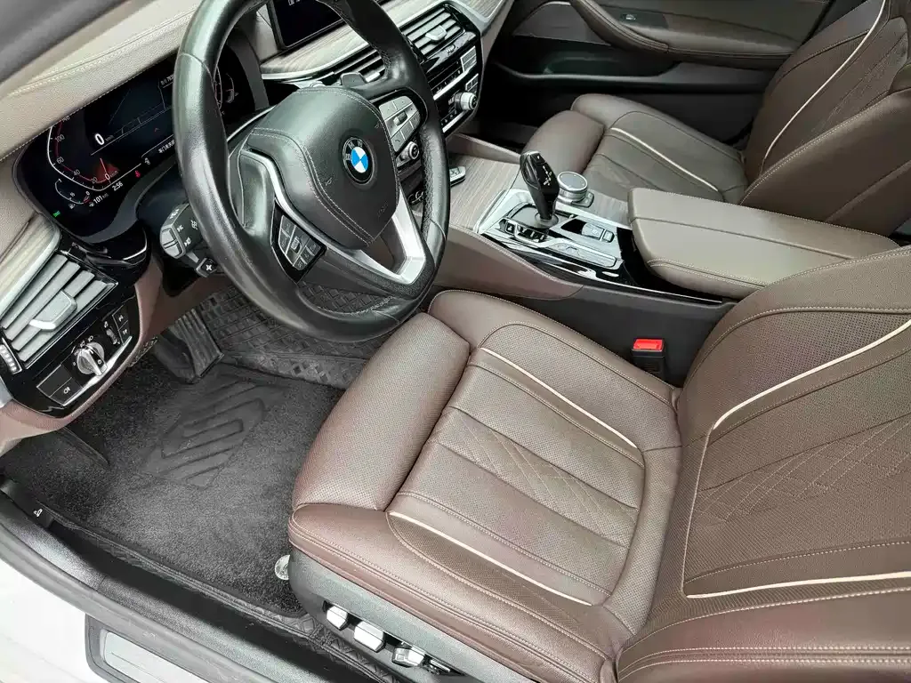 BMW 5 Series 2021 из CN, фото 7
