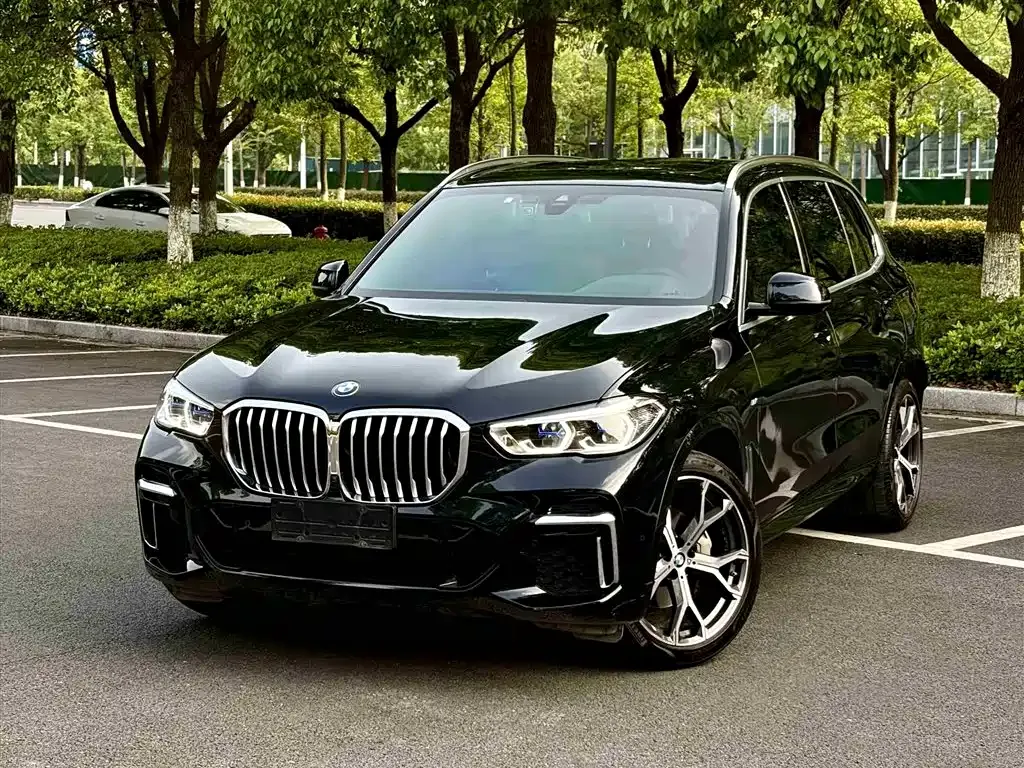 BMW X5 — фото 1