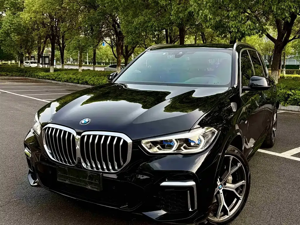 BMW X5 — фото 10