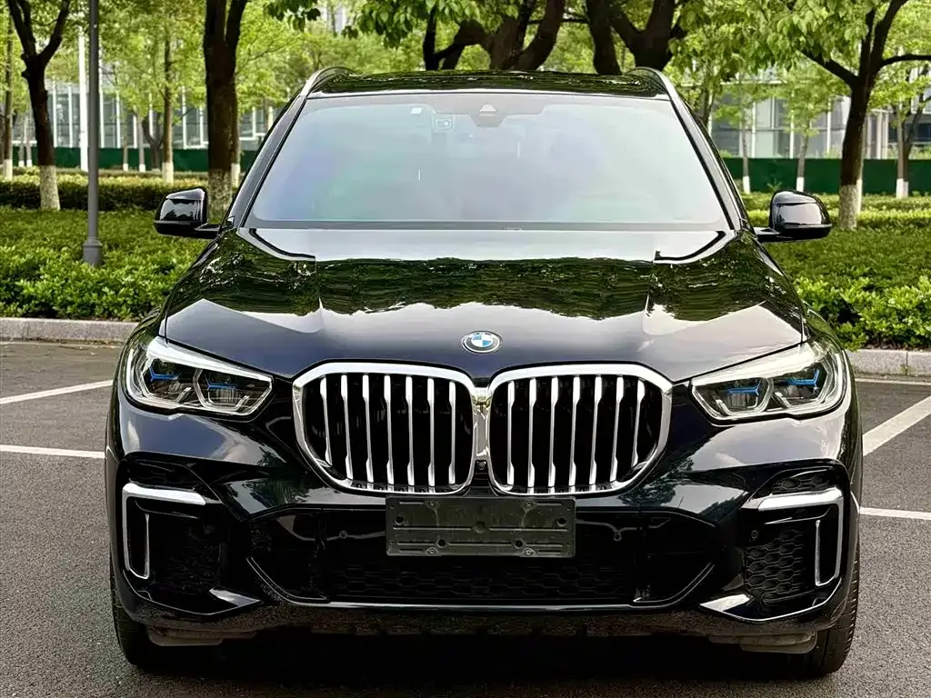 BMW X5 — фото 8