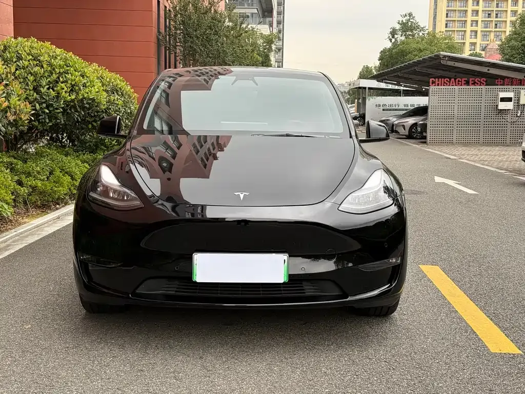 Tesla Model Y 2022 из CN, фото 6