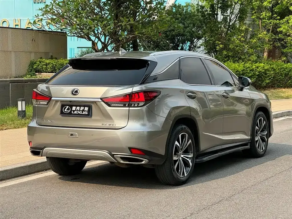 Lexus RX 2021 из CN, фото 9
