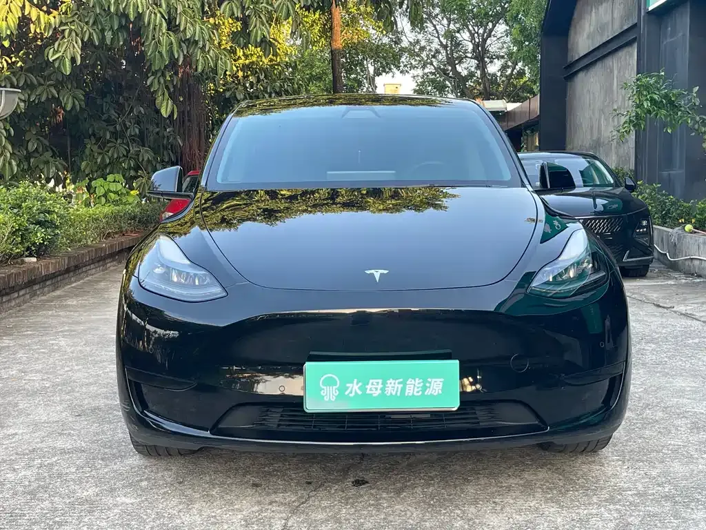 Tesla Model Y — фото 7