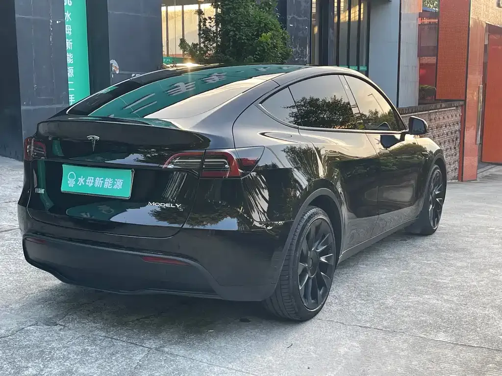 Tesla Model Y — фото 10
