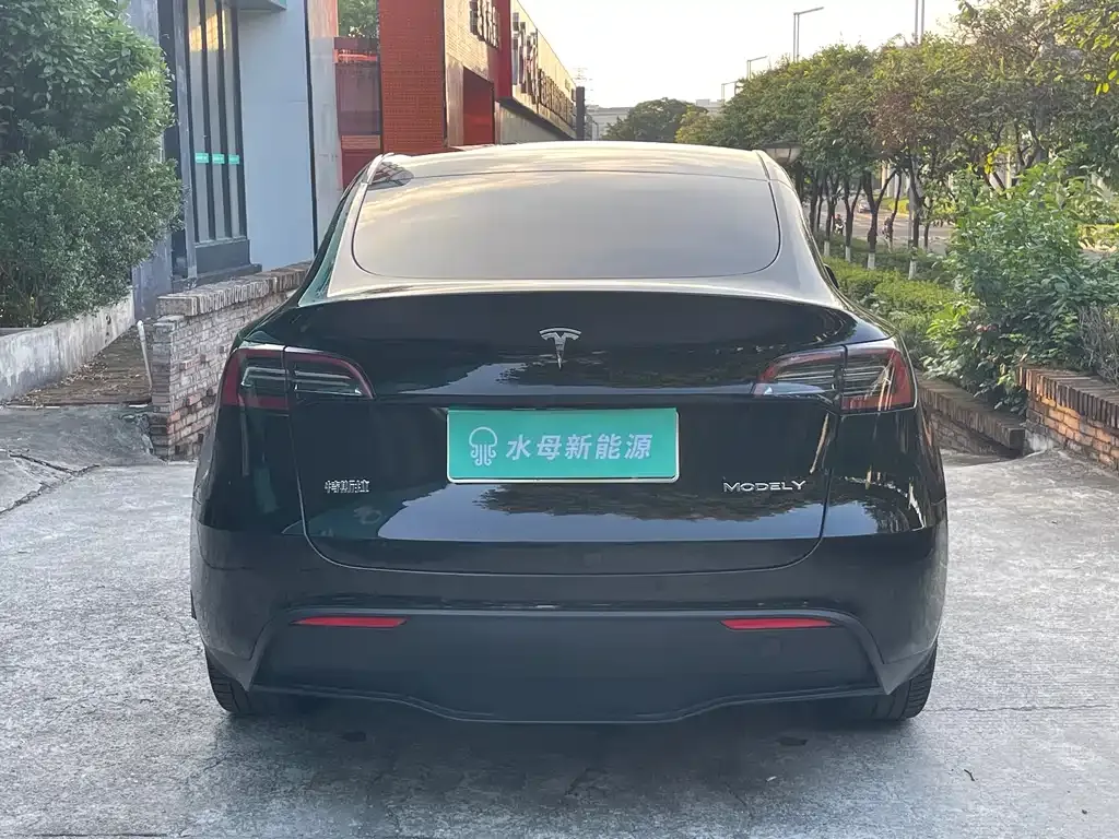 Tesla Model Y — фото 5