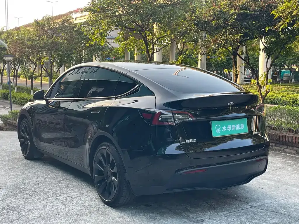 Tesla Model Y — фото 8