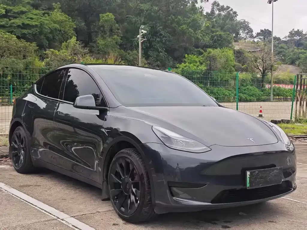 Tesla Model Y — фото 6