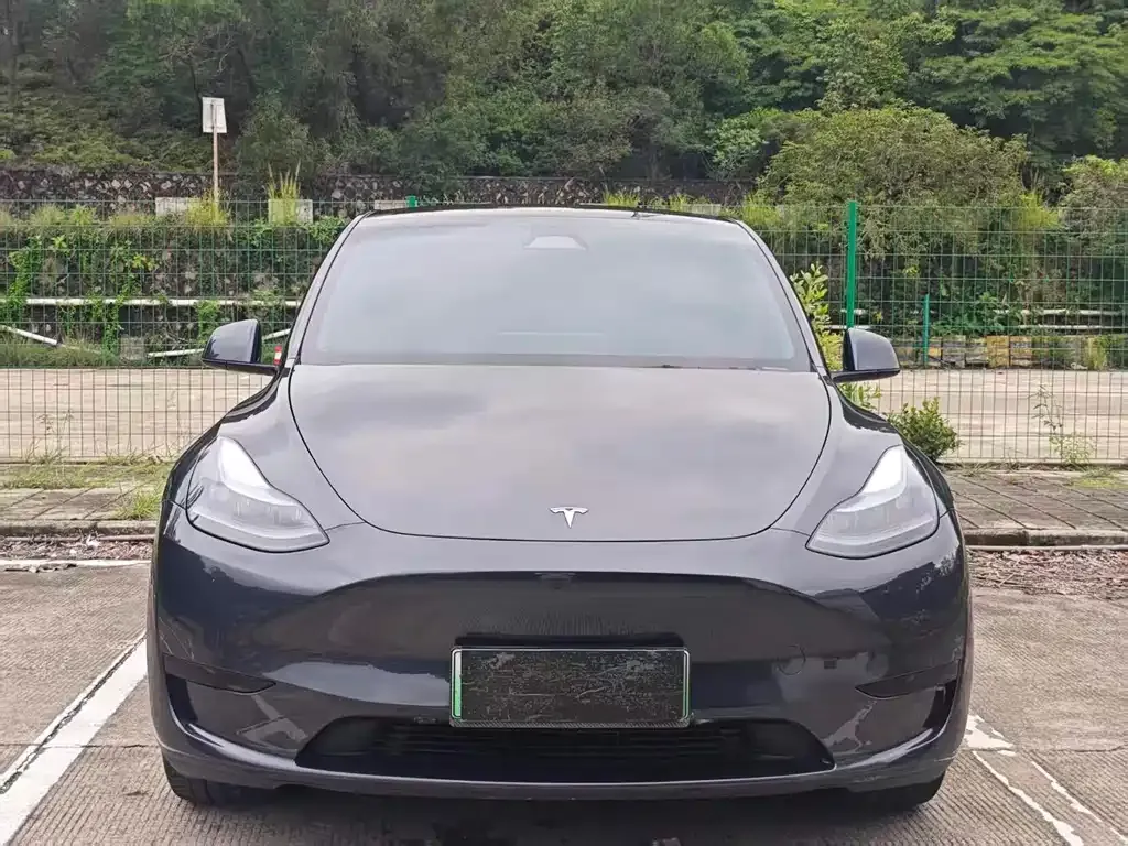 Tesla Model Y — фото 8