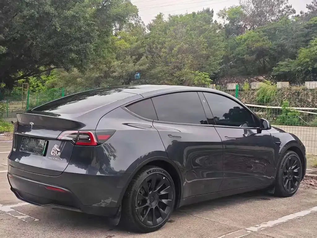 Tesla Model Y — фото 7