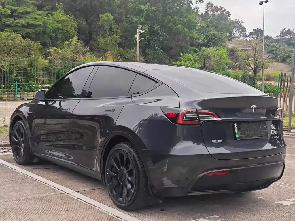 Tesla Model Y — фото 9