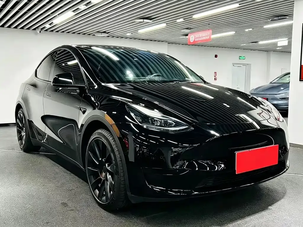 Tesla Model Y — фото 7