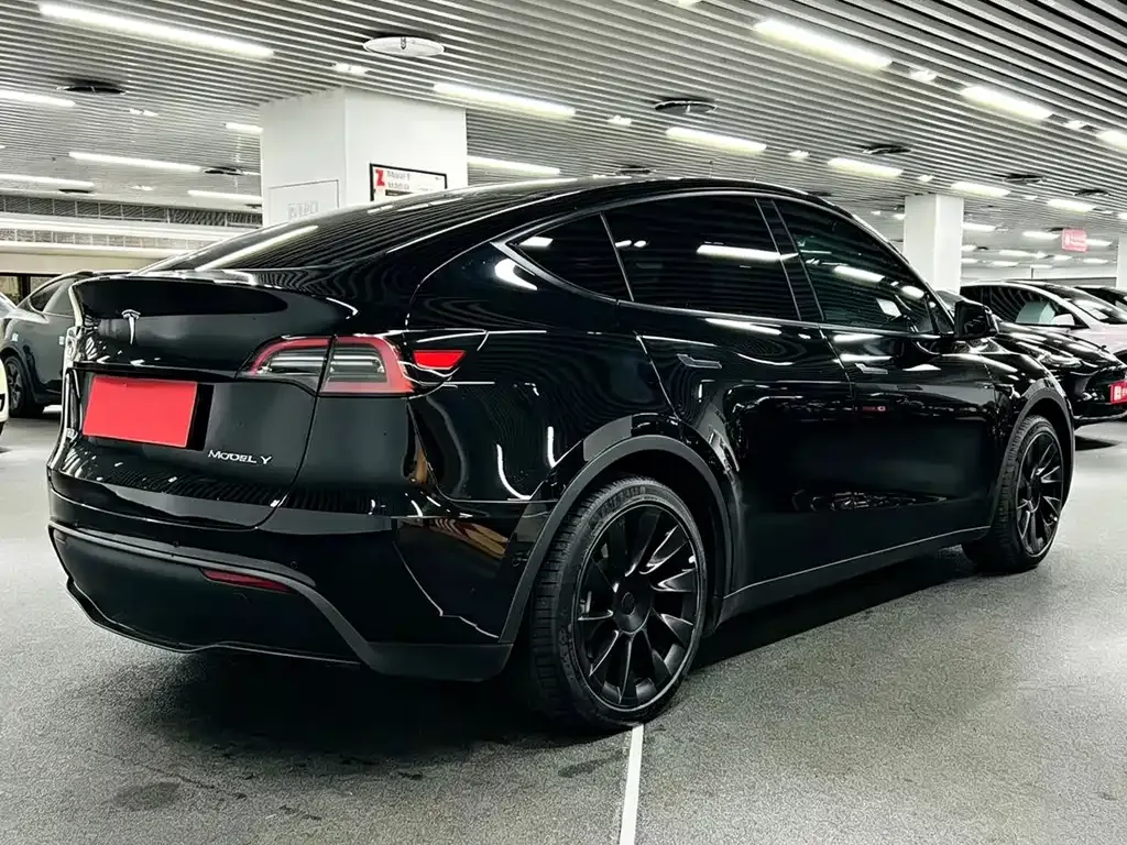 Tesla Model Y — фото 5
