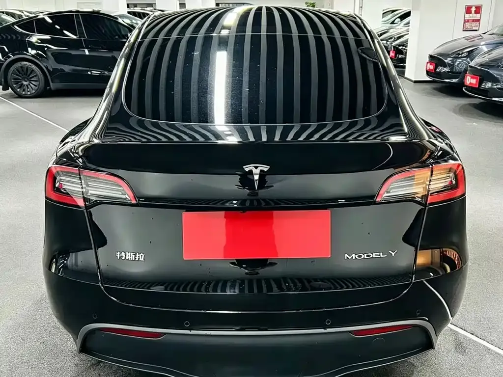 Tesla Model Y — фото 2