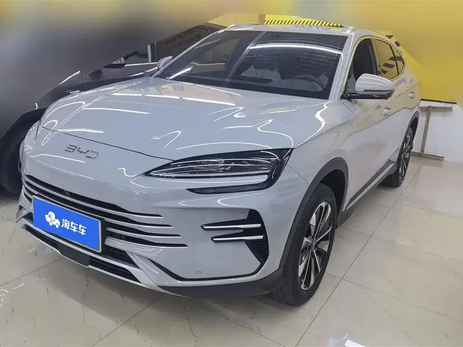 BYD PLUS New Energy — фото 1