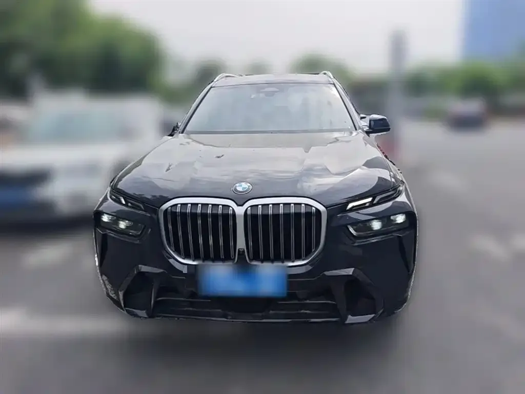 BMW X7 — фото 4