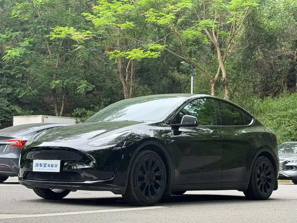 Tesla Model Y — фото 1