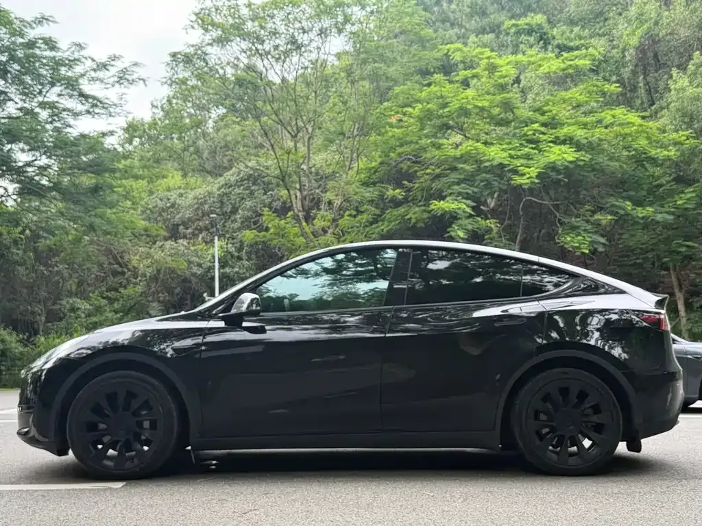 Tesla Model Y — фото 3