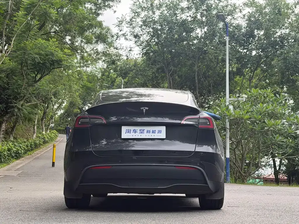 Tesla Model Y — фото 9