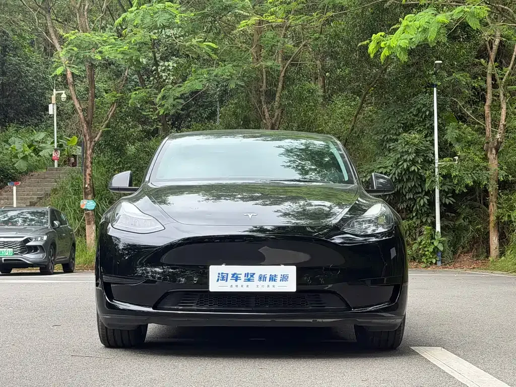 Tesla Model Y — фото 8