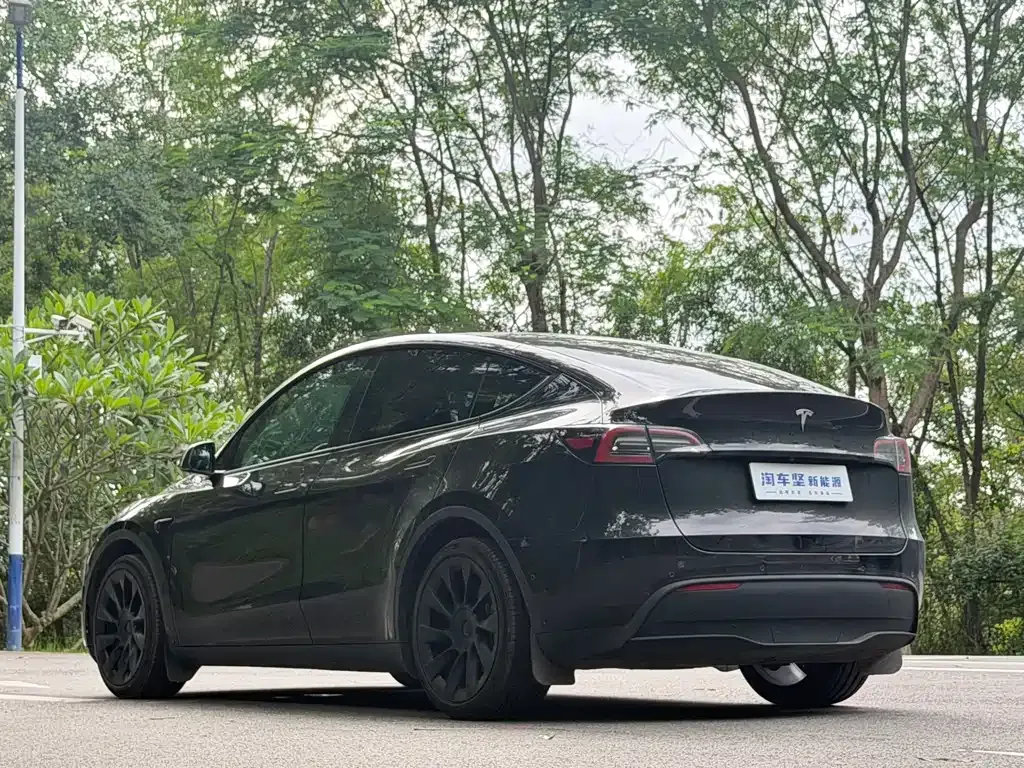 Tesla Model Y — фото 10