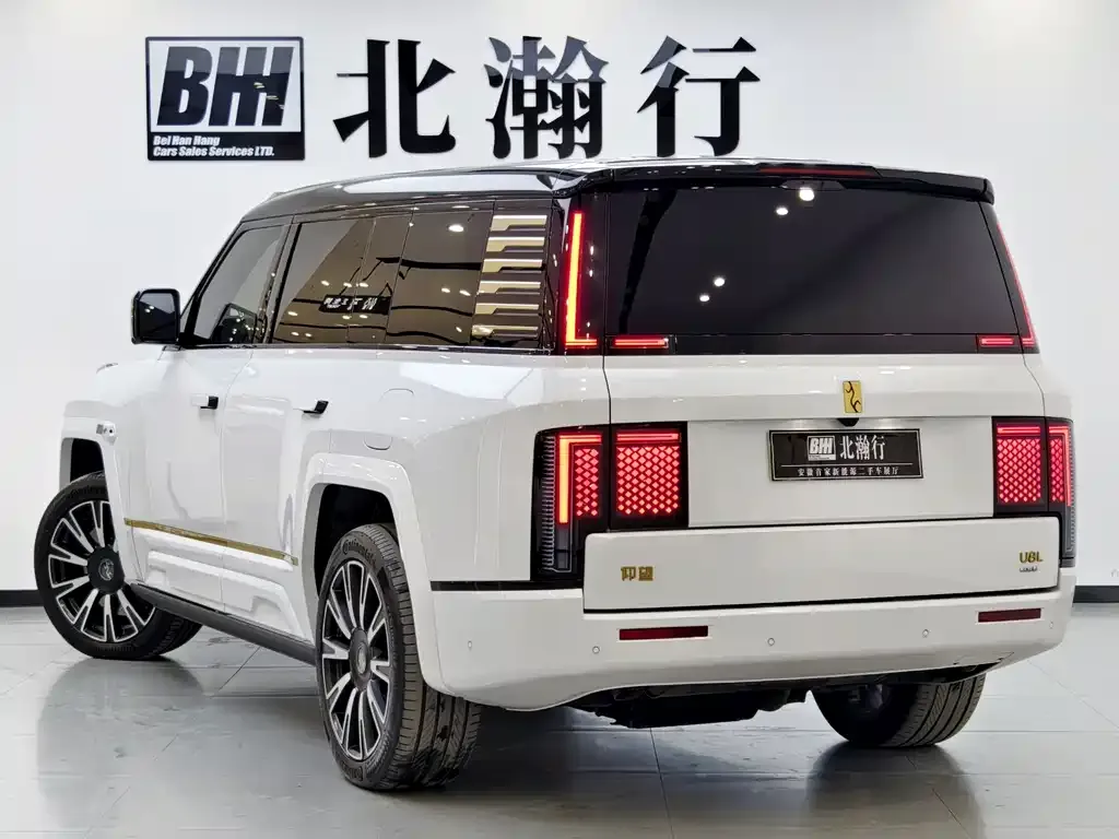 Yangwang U8 L 2025 из CN, фото 5