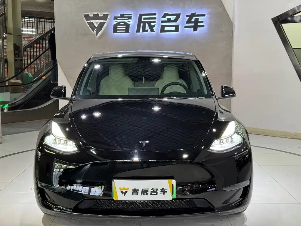 Tesla Model Y — фото 3