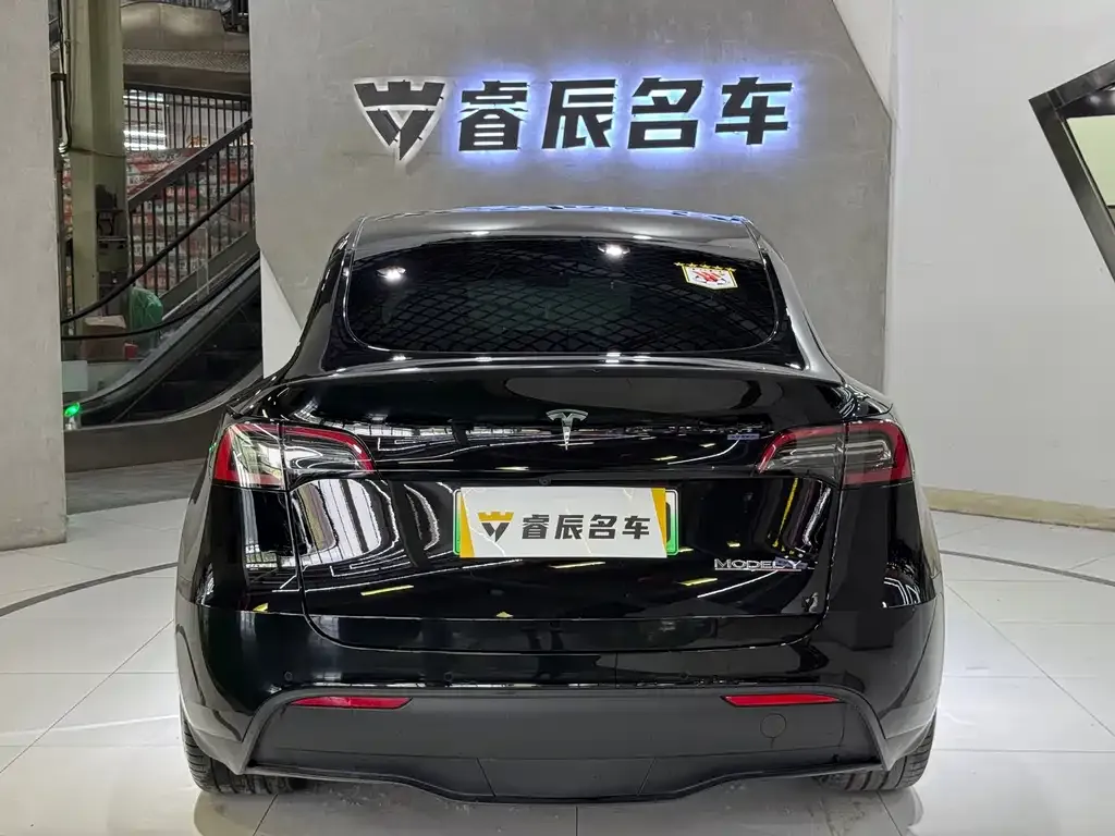 Tesla Model Y — фото 10
