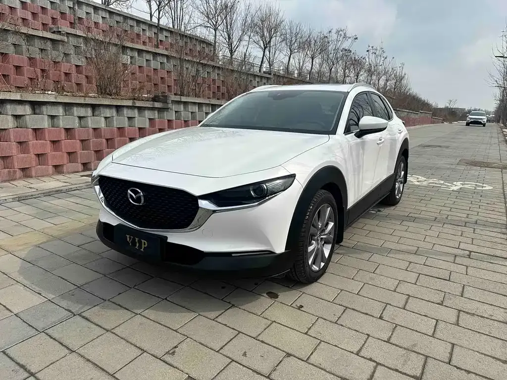 Mazda CX-30 — фото 1