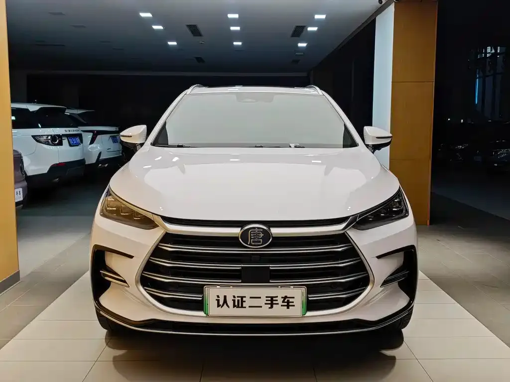 BYD Tang New Energy — фото 2
