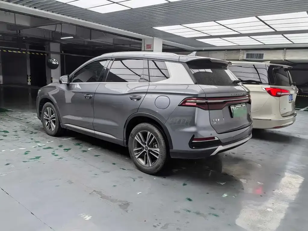 BYD Pro New Energy — фото 4