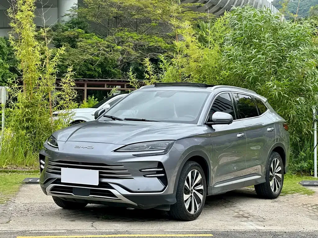 BYD PLUS New Energy — фото 1