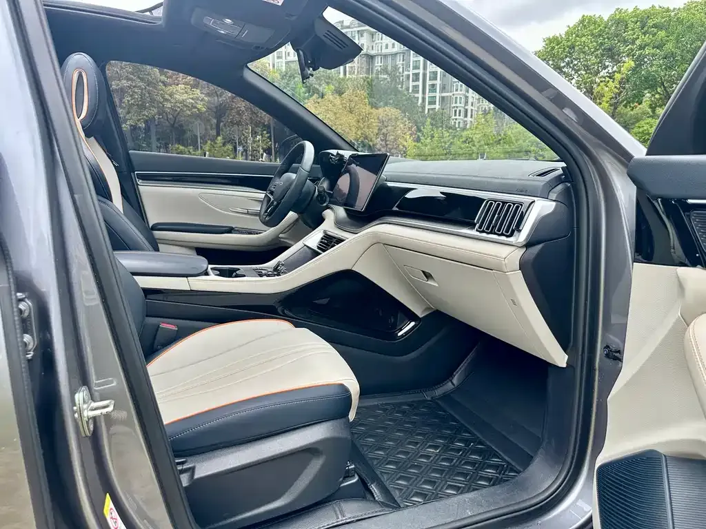 BYD PLUS New Energy — фото 6