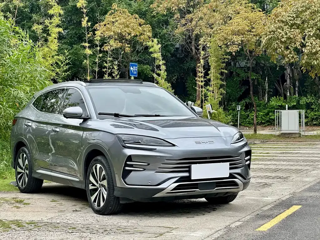 BYD PLUS New Energy — фото 9