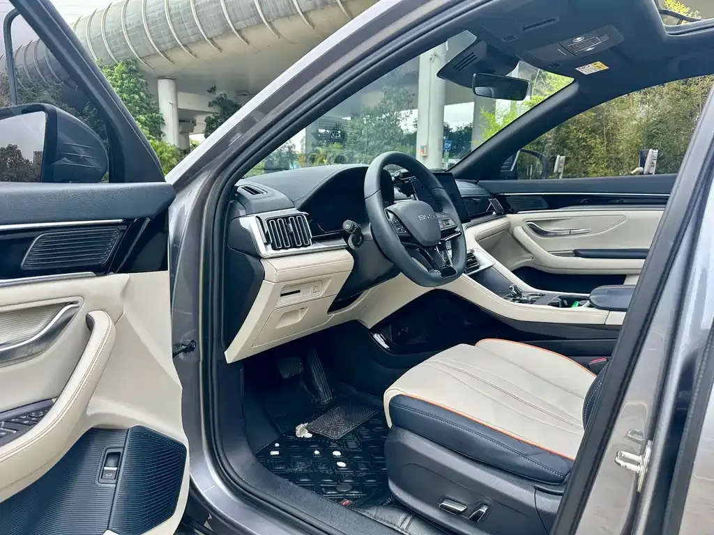 BYD PLUS New Energy — фото 4