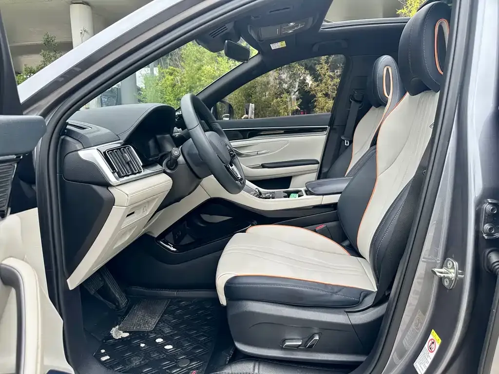 BYD PLUS New Energy — фото 7