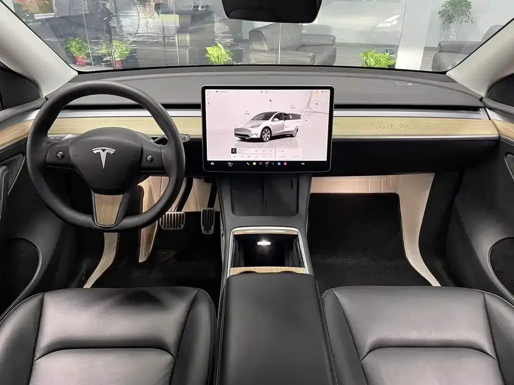 Tesla Model Y — фото 9