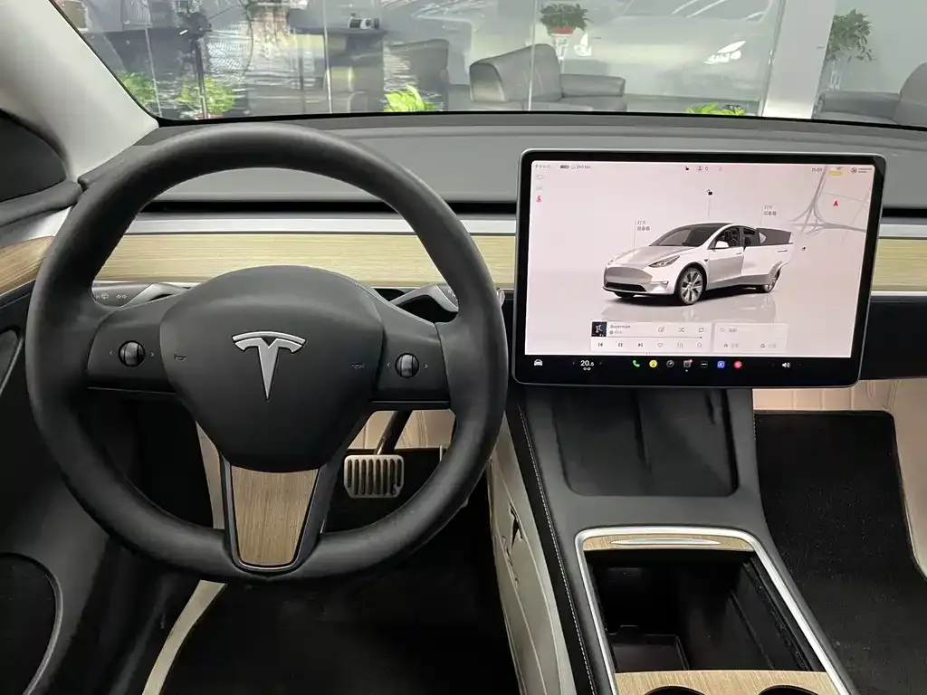 Tesla Model Y — фото 10