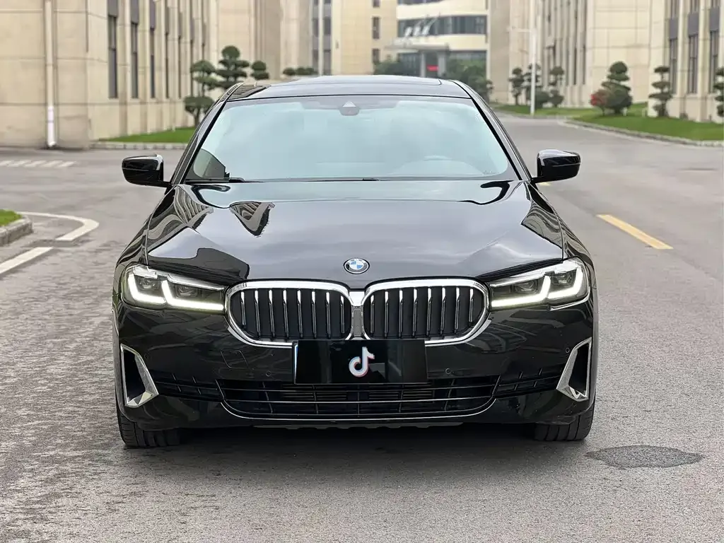 BMW 5 Series 2021 из CN, фото 3