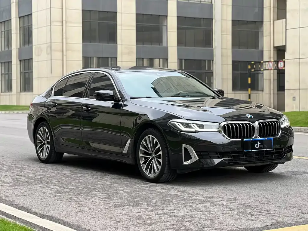 BMW 5 Series 2021 из CN, фото 4